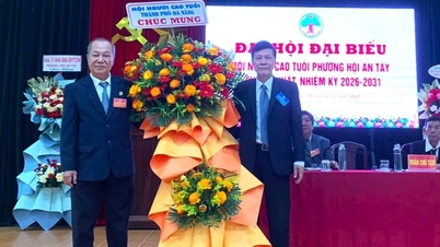 L'association des personnes âgées du quartier de Tay à Hoi An prend bien soin de ses membres.