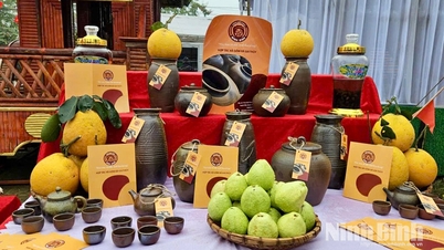 Gia Thuy Ceramics dalam perjalanan penentududukan jenama