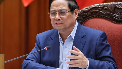 ສ້າງ​ມາດ​ຕະການ​ແກ້​ໄຂ​ຢ່າງຮອບດ້ານ​ເພື່ອ​ປ້ອງ​ກັນ​ບໍ່​ໃຫ້​ເກີດ​ດິນ​ເຈື່ອນ, ດິນ​ເຈື່ອນ, ​ໄພ​ນ້ຳ​ຖ້ວມ, ໄພ​ແຫ້ງ​ແລ້ງ, ນ້ຳ​ເຄັມ​ເຂົ້າ​ເຂດ​ທົ່ງພຽງ​ແມ່​ນ້ຳຂອງ.