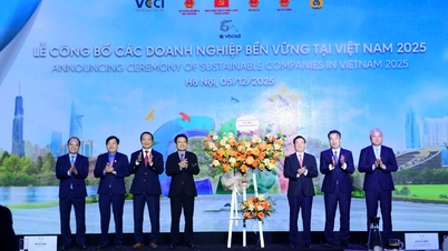 Se anuncian las 100 principales empresas de desarrollo sostenible de Vietnam en 2025
