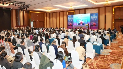 دوہری تبدیلی ویتنام کی صنعت اور توانائی کو پائیداری کے اہداف کے قریب لے جاتی ہے۔