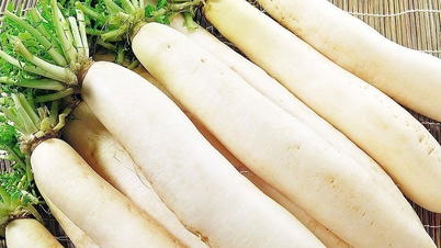 Củ cải trắng kỵ với những thực phẩm nào?