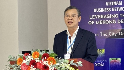 La ciudad de Can Tho "extiende la alfombra roja" para invitar a las empresas japonesas a invertir