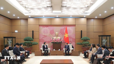 Заместитель председателя Национальной ассамблеи Ле Минь Хоан принял представителей руководства Samsung Electronics