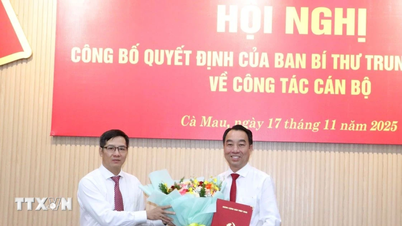 Goedkeuring van de verkiezingsresultaten en ontslag van de functie van voorzitter van het Volkscomité van de provincie Ca Mau