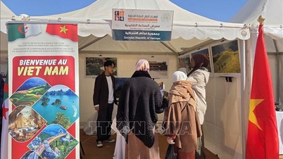 ویتنام در جشنواره گردشگری صحرای بزرگ آفریقا شرکت می‌کند