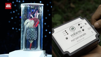 فينفيوتشر 2025: انتشار الاختراعات الفيتنامية