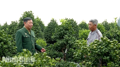 닌빈 참전용사들: 새로운 기회 속에서의 군인의 용기