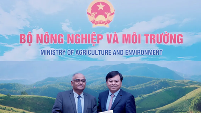 ADB menyediakan bantuan $2 juta untuk membantu Vietnam Tengah mengatasi banjir