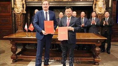 वियतनाम और बेल्जियम के बंदरगाह केंद्रों को जोड़ना