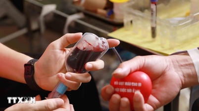 Cả nước tiếp nhận gần 1,7 triệu đơn vị máu từ những người hiến tình nguyện