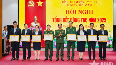 X20 Joint Stock Company: Consolidando uma marca forte no mercado