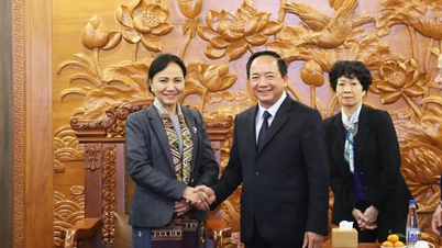 Tăng cường hợp tác tuyên giáo, dân vận, củng cố quan hệ đặc biệt Việt Nam - Lào