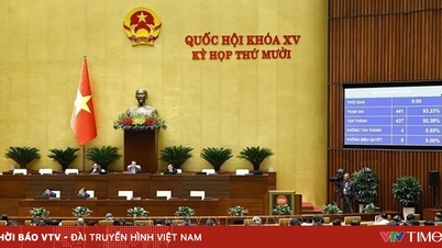 As informações sobre antecedentes criminais no VNeID têm o mesmo valor que uma certidão de antecedentes criminais.