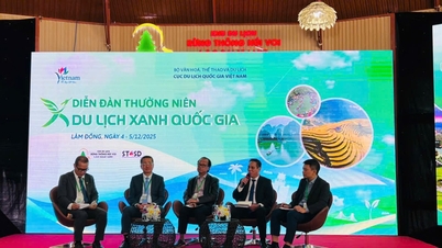 دا نانگ اور ویتنام کی سر سبز سیاحت کی منزل بنانے کا سفر