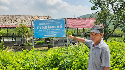 קואנג נין מפחיתה עוני ממשאבים פנימיים