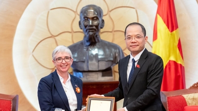 Vice Chairman of the Committee for Culture and Society Dinh Cong Sy received Australia's Global Ambassador for Gender Equality Michelle O'Byrne