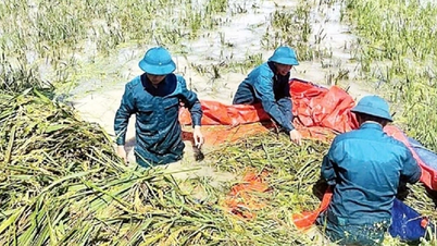 Παροχή περισσότερων από 3.400 τόνων σπόρων από τα εθνικά αποθέματα για την αποκατάσταση της παραγωγής σε πλημμυρισμένες περιοχές