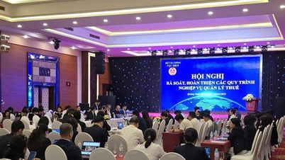 Belastingsector herziet processen, met focus op risicomanagement