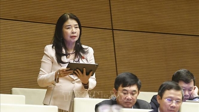 استكمال نموذج المحكمة المتخصصة في المركز المالي الدولي