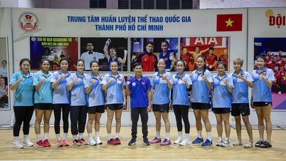 ما هو مقدار المكافأة التي سيحصل عليها الملاكمون الفيتناميون بعد الفوز بالميدالية الذهبية في دورة ألعاب جنوب شرق آسيا الثالثة والثلاثين؟