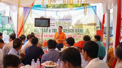 Sắp diễn ra Hội chợ nông nghiệp, nông sản xanh vùng ĐBSCL tại An Giang