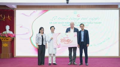 ជំងឺមហារីកសុដន់ គឺជាក្តីកង្វល់ដ៏ធំមួយសម្រាប់ស្ត្រី ដោយមានករណីជាង ២៤.០០០ ករណីត្រូវបានធ្វើរោគវិនិច្ឆ័យជារៀងរាល់ឆ្នាំ។