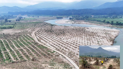 উৎপাদন পুনরুদ্ধারে পাহাড়ি মানুষদের সহায়তা করুন