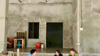 दा बैक - गरीबी कम करने के लिए जागरूकता बढ़ाना