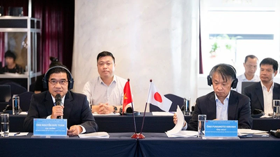 Combinar pesquisa científica e gestão para responder eficazmente às tarefas na nova situação.