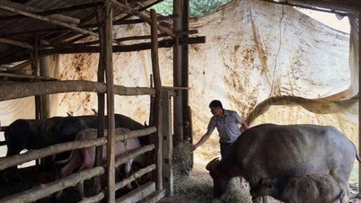 Komune Lac Son menciptakan terobosan dalam pengurangan kemiskinan melalui komunikasi dan mata pencaharian