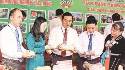 เชื่อมโยงสู่การเกษตรสมัยใหม่