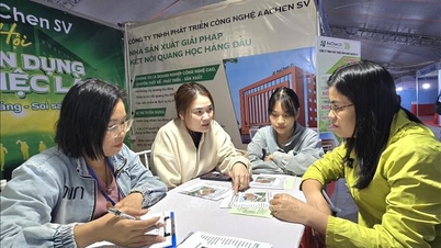 Bedrijven en jongeren met elkaar verbinden via een arbeidsbemiddelingsbeurs