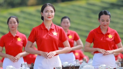 Lebih dari 1.000 gadis melakukan pembuatan teh di Lam Dong