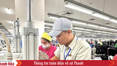 ມີຄວາມກະຕືລືລົ້ນໃນການເຮັດວຽກແລະຄວາມຄິດສ້າງສັນ