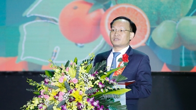 Festival Buah Bac Ninh 2025 diselenggarakan dalam skala besar, ruang terbuka - modern - pengalaman visual yang hidup