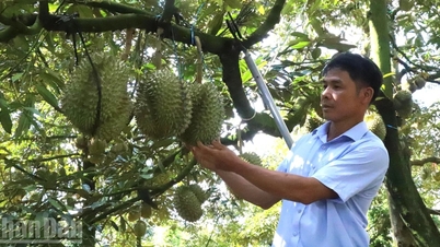 ດັກລັກ ມຸ່ງ​ໄປ​ເຖິງ​ເສດຖະກິດ​ສີຂຽວ, ​ເປັນ​ວົງ​ກົມ, ​ໂປ່​ງ​ໃສ ​ແລະ ຍືນ​ຍົງ...