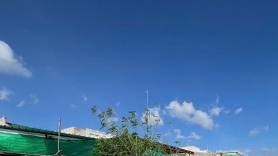 Lien Huong övervinner akut konsekvenserna av översvämningen