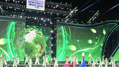 国際茶祭での芸術パフォーマンスは15,000人以上の観客を集めた