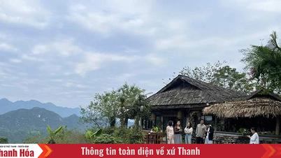 पर्यटन व्यवसायों में डिजिटल परिवर्तन, हरित परिवर्तन