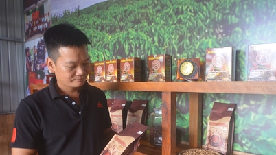 नहान काउंटी में ई-कॉमर्स