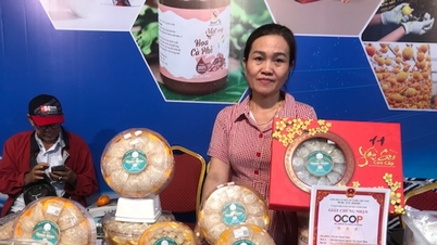 प्रांत के दक्षिण-पूर्वी क्षेत्र में स्वच्छ उत्पाद