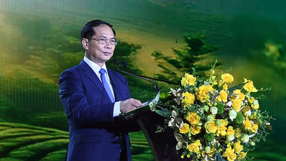 פתיחת פסטיבל התה הבינלאומי 2025