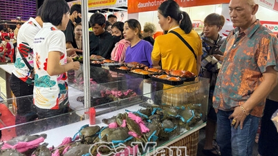 Los mejores sabores llegan al mundo