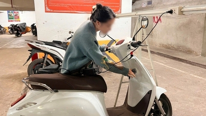 家主が電気自動車を禁止すると学生たちは「笑ったり泣いたり」