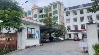 Lärarrekrytering i Ha Tinh: Höga poäng misslyckas, låga poäng klarar, vilket orsakar förvirring