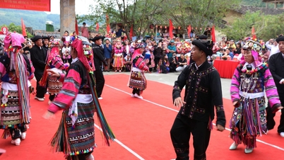 Цвета Ло Ло Чай у подножия горы Дракон