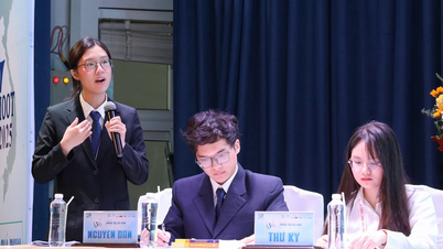 Посилення відкритості медичного та юридичного секторів: Неможливо керувати… назвами навчальних закладів