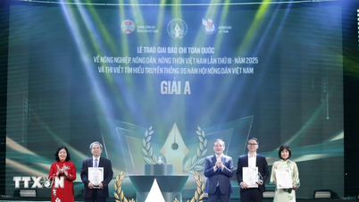 ລາງວັນຂ່າວແຫ່ງຊາດກ່ຽວກັບກະສິກຳ, ຊາວນາ ແລະ ຊົນນະບົດ