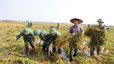 ຈື່ວັນເກັບກ່ຽວເຂົ້າຊ່ວຍປະຊາຊົນ